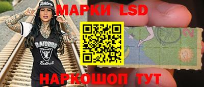 индика Дубна