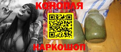 индика Дубна