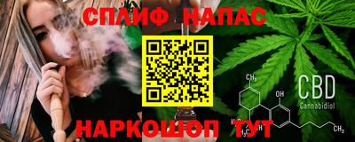 индика Дубна