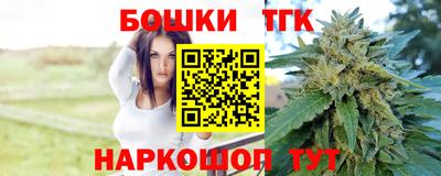 индика Дубна