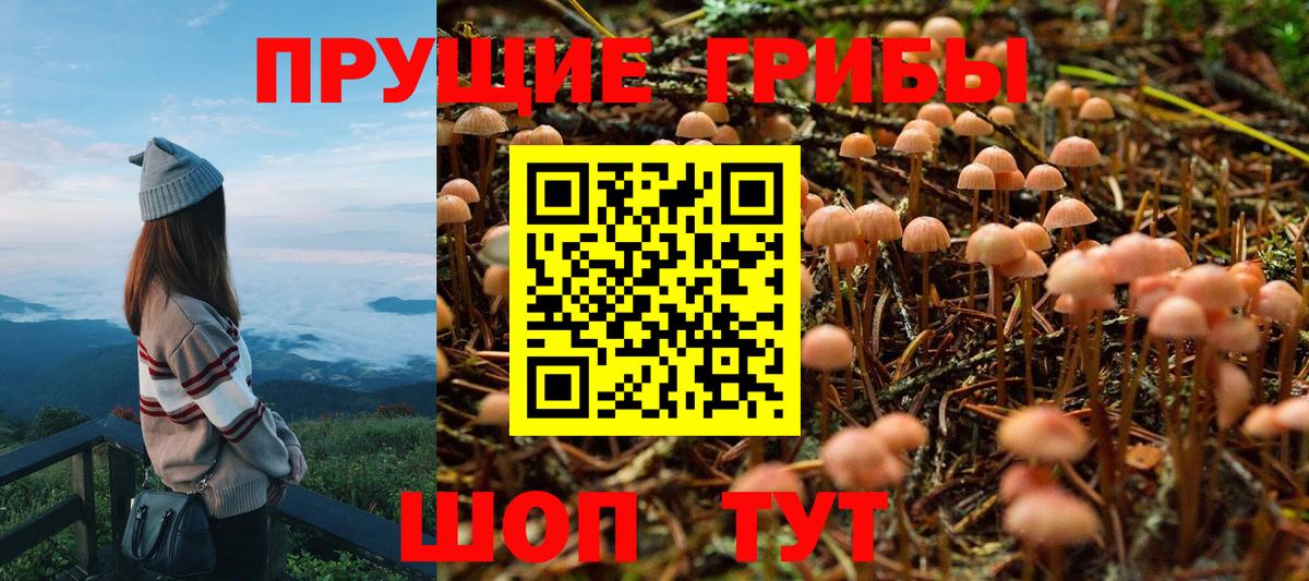 Псилоцибиновые грибы Magic Shrooms  Псилоцибиновые грибы Psilocybe  Вход с VPN  Арзамас 